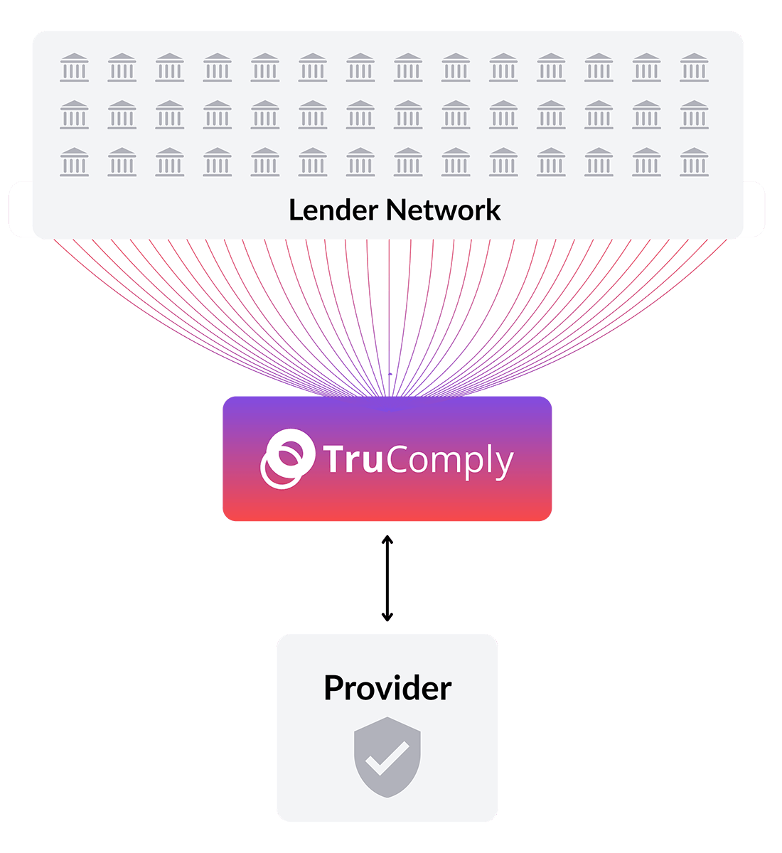 Provider Network Infographic